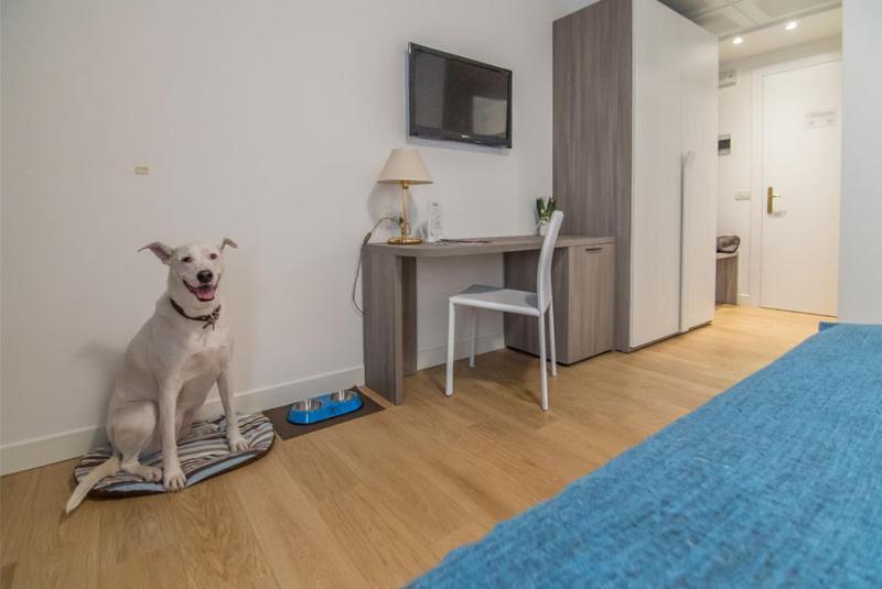 Hotel Luna Vigonovo  Екстериор снимка